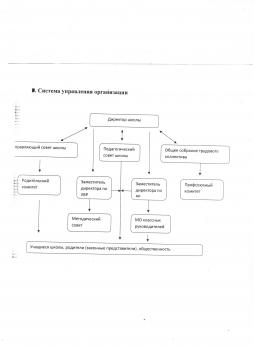 Система управления организации